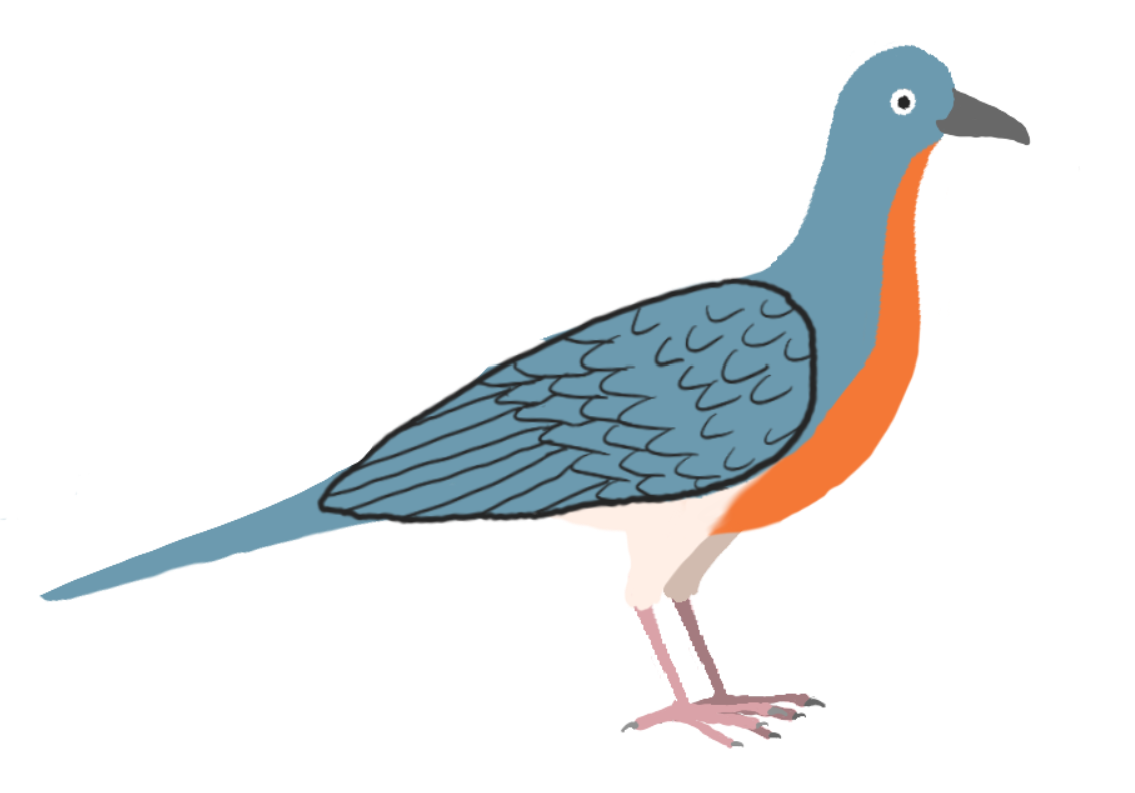 Passenger Pigeon