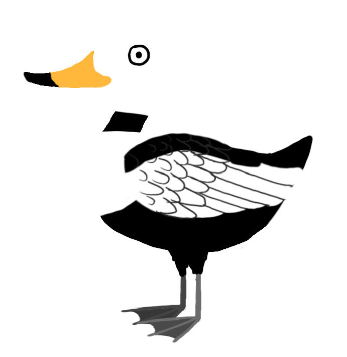Labrador duck