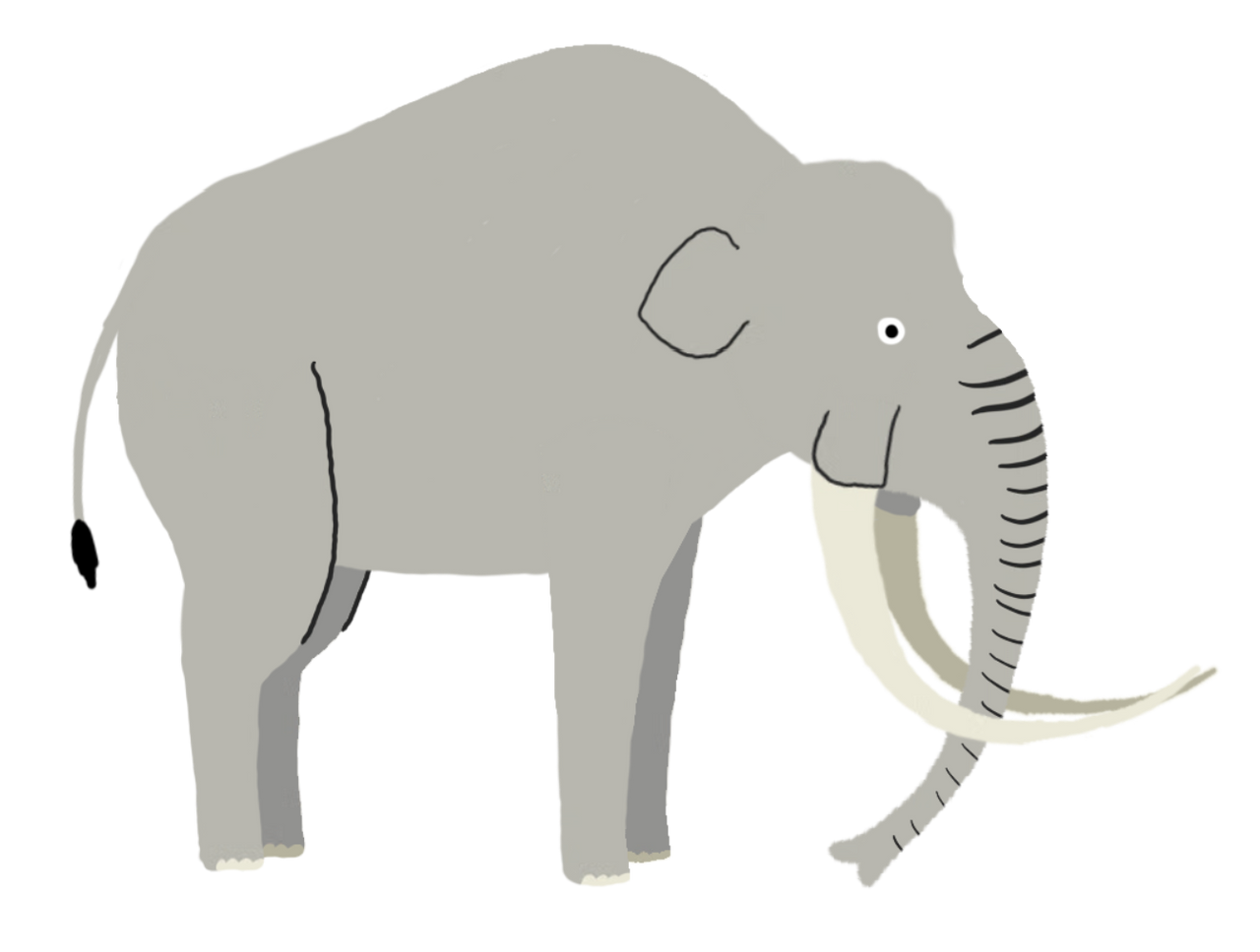 Columbian Mammoth