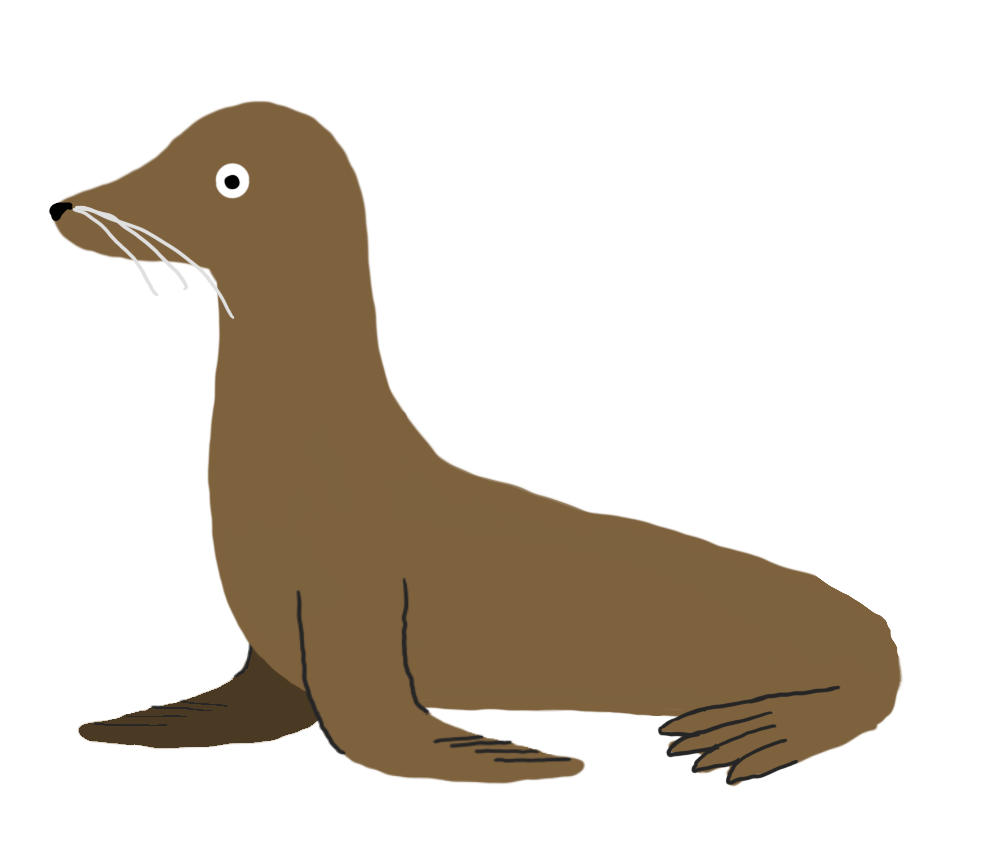 Japanese sea lion