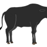 Aurochs