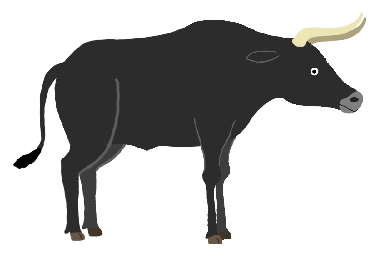 Aurochs