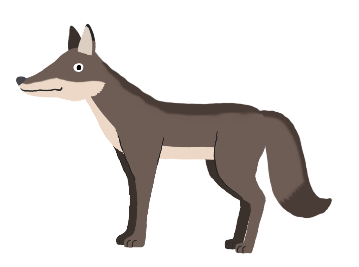 Hokkaido Wolf