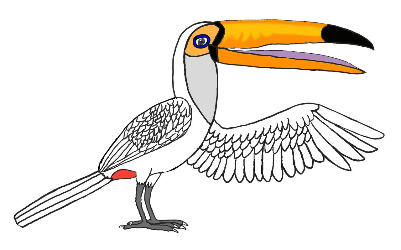 The white toucan Branca