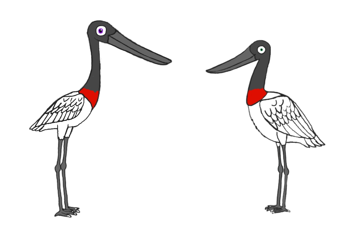 The white toucan Bentley and dennis