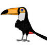 The white toucan: Marcel