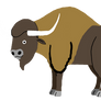 Steppe Bison