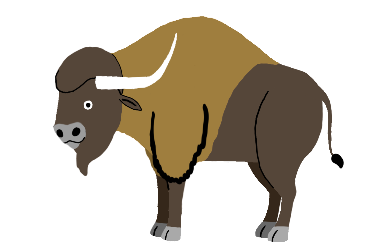 Steppe Bison