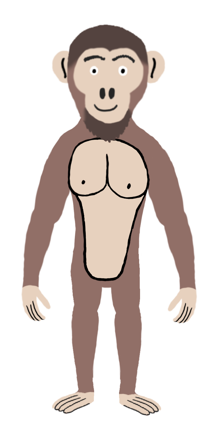 Australopithecus a.k.a Southern ape