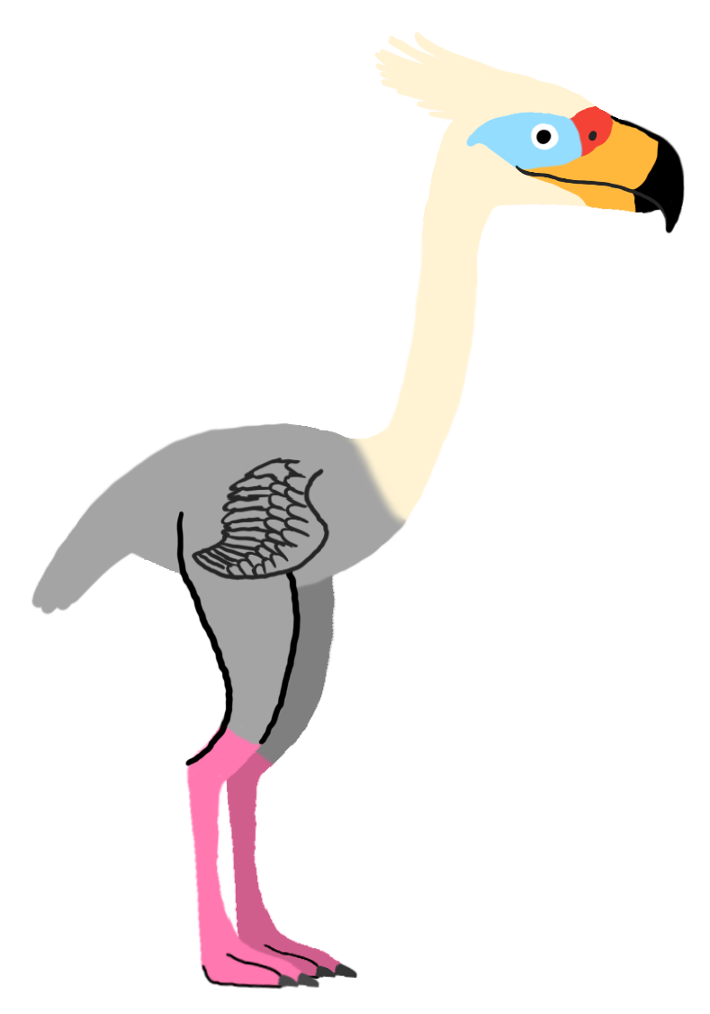 Phorusrhacos
