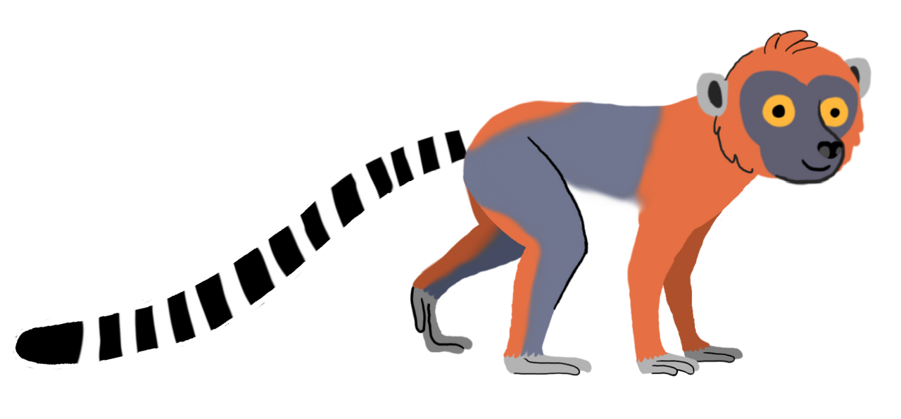 Darwinius