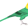 Carolina parakeet
