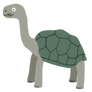 Pinta Island tortoise