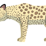 Zanzibar Leopard