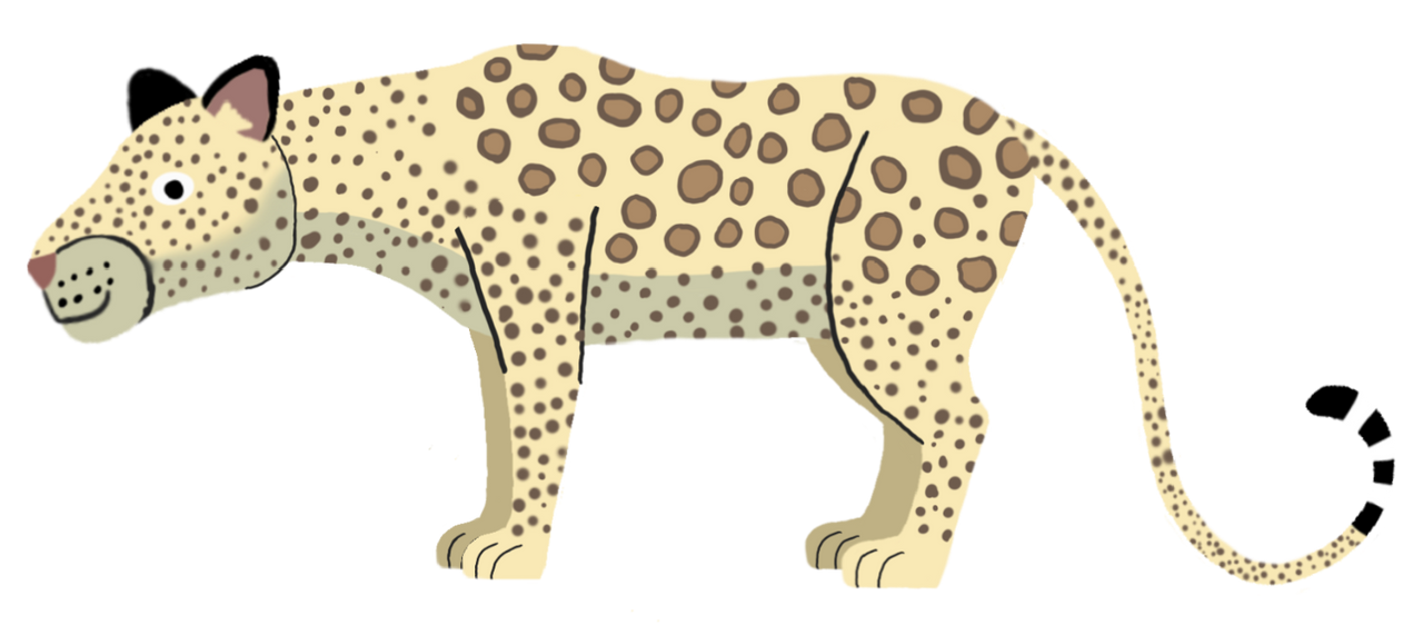 Zanzibar Leopard