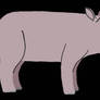 Hippopotamus gorgops