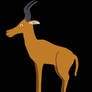 Bubal Hartebeest