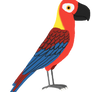 Cuban macaw