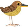 Stephen's island wren