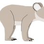Riversleigh Rainforest koala