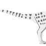 Nanuqsaurus
