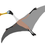 Ornithocheirus