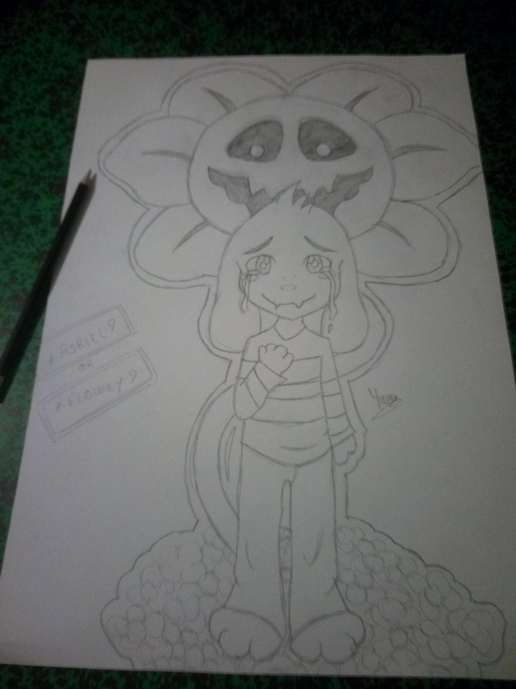 Asriel or Flowey?