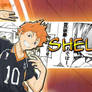 Haikyu banniere discord for ShelbyGW