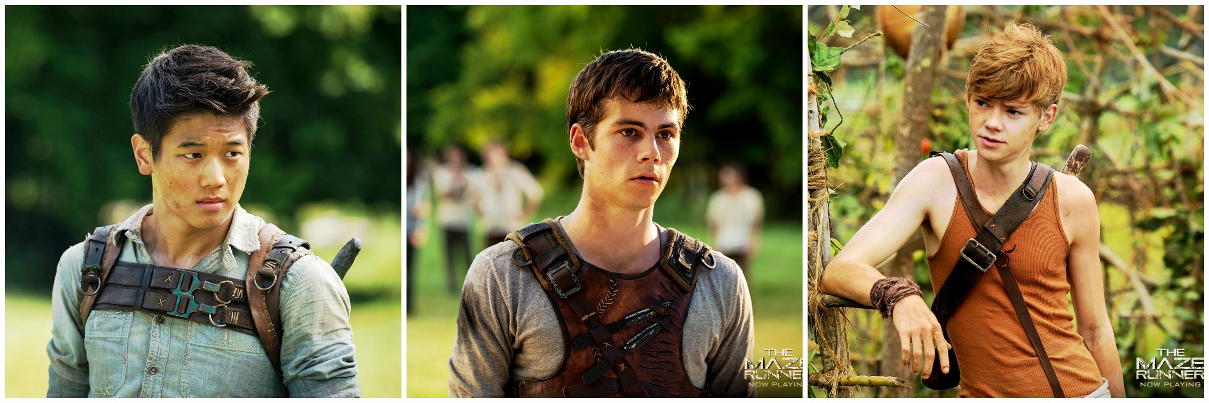 Thomas (Maze Runner)