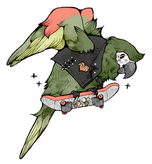 skatebirder