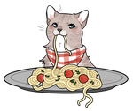 spaghetti cat