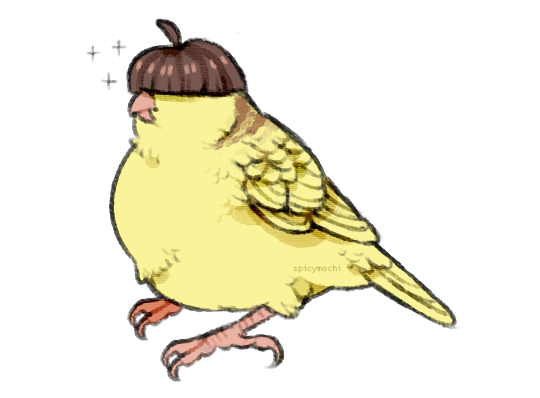 Bowl Cut Bird By Supichu On DeviantArt bowl-cut-bird-by-supichu-on-deviantart