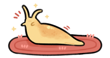 slug on a rug