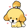 isabelle but puppy