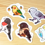 bird stickers
