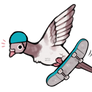 skatebirder