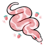 strawberry snake