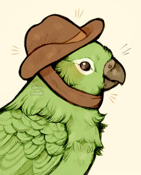 fancy hat bird