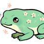 flower frog