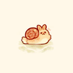 snail bunny