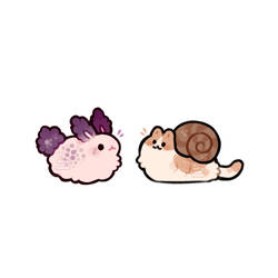 sea bunny and snail cat