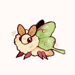 fluffy luna moth