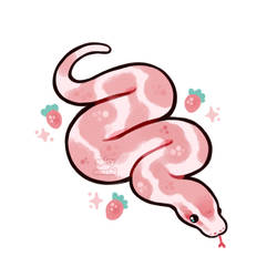 strawberry snake