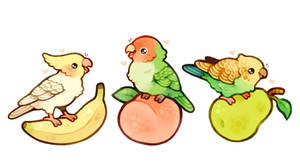 fruit salad birds