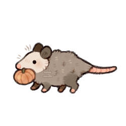 little pumpkin thief