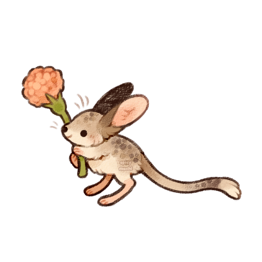 flower jerboa by supichu on DeviantArt flower jerboa by supichu on DeviantArt