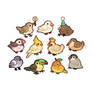 tiny fluffy birds