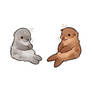Both Together Fixed Sea Lion Tail 720