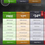 Pro Pricing Table