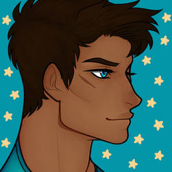 steve icon